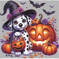 Halloween-WS 5711